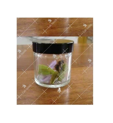 Tissue Culture Jar (Glass)