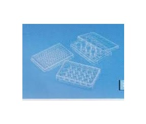 tissue culture plate sterile.jpg
