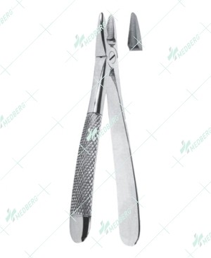 Universal extracting forceps, for upper incisors and canines with serrated tips