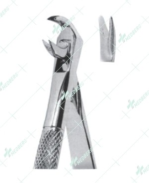 Universal Extracting Forceps, lower teeth
