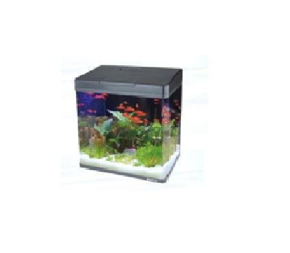 Aquarium Kit