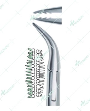 Upper Atraumatic Extraction Root Forceps