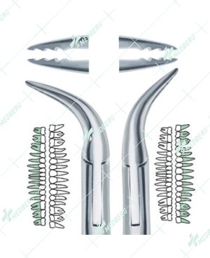 Upper & Lower Atraumatic Extraction Root Forceps