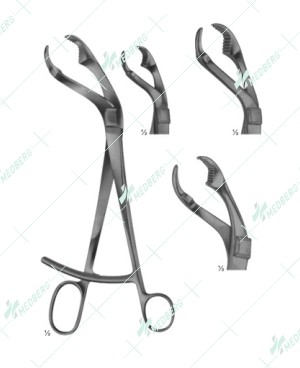 Verbrugge Bone Holding Forceps, with tip joint, 255 mm