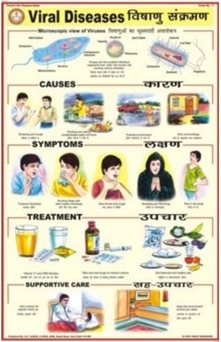 Viral Diseases