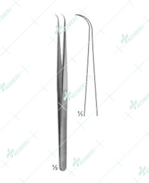 Vise Forceps