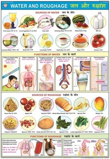 Water & Roughage Chart