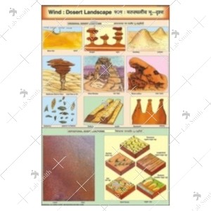 Wind Desert Landscape Chart