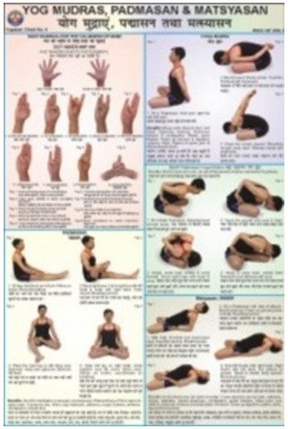 Yog, Mudrasan, Padmasan & Matsyasan Chart