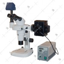 Advanced Stereo Zoom Microscope with Fluorescent Attachment