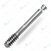 DHS/DCS Screws (with Compression Screws)
