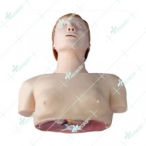 Basic CPR Training Model (Half Body)