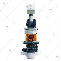 Fluorescence Microscope 