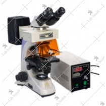 Fluorescent Research Microscope