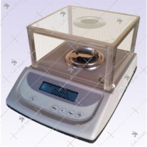 Carat Scales  