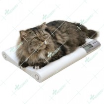  Pet Weighing Scales