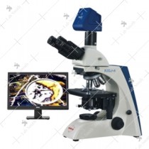 LSRXLr 4IT+CT3+Structure Software
