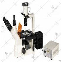 Fluorescent Research Microscope