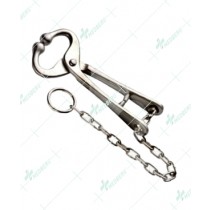 Bull Lead With Chain