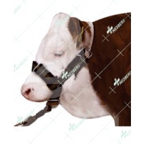Halter Made of Nylon 2”