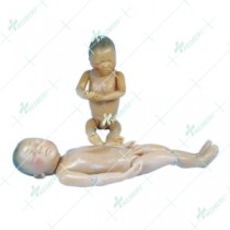 Newborn Model (Baby Model)