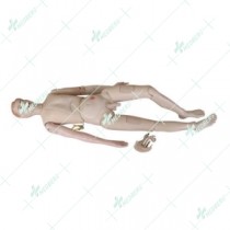 New Style High Quality Nurse Training Doll (Male)