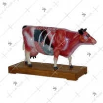 Cattle Acupuncture Model
