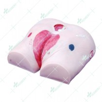 Decubitus Ulcer Care Model