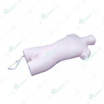 Central Venous Puncture Model