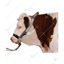 Halter with Chain 