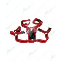 Harness, Sheep Made of Nylon