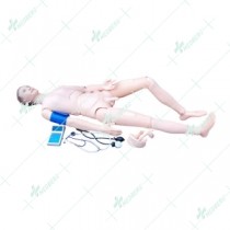 Advanced Nurse Training Doll with Blood Pressure Training Arm (male/female)