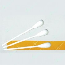 Lemon-Glycerine Swabstick