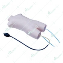 Child Femoral Vein and Femoral Artery Puncture Training Model