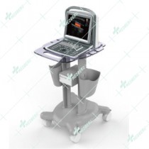 Portable Convex Ultrasound Scanner