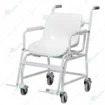 Wheelchair Weighing Scales