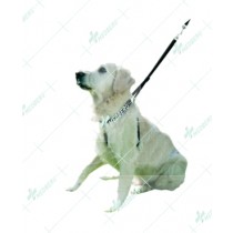 Dog Harness Made of Nylon