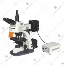 Fluorescent Research Microscopes