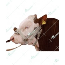 Halter Made of Strong Leather 1”