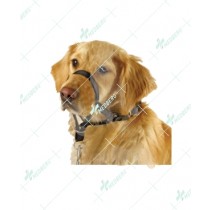 Dog Harness Made of Leather