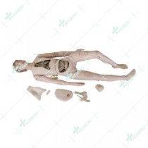 New Style High Quality Nurse Training Doll (Female)
