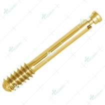 12.5mm DHS/DCS Screw (With Compression Screw)
