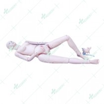 Advanced Multifunctional Nursing Training Doll