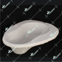 Bedpan Molded Pulp