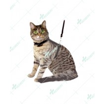 Cat Harness Made of Nylon