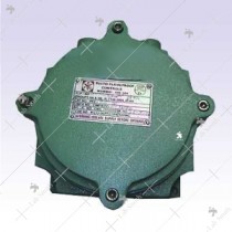 Flameproof Junction Box