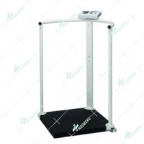 Handrail Scales