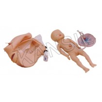 Advanced Delivery Mechanism Demonstration Simulator