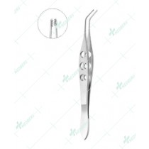 Alfonso Nucleus Fragment Forceps