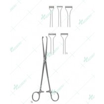 Allis Abdominal Intestinal Instrument, 155 mm